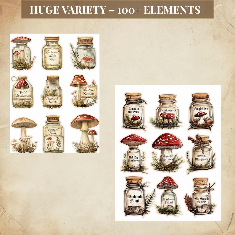 Vintage paddestoelen kieskeurig, vintage botanische paddestoelen ephemera, kieskeurige stekjes afdrukbaar voor bosjunktijdschriften afbeelding 9