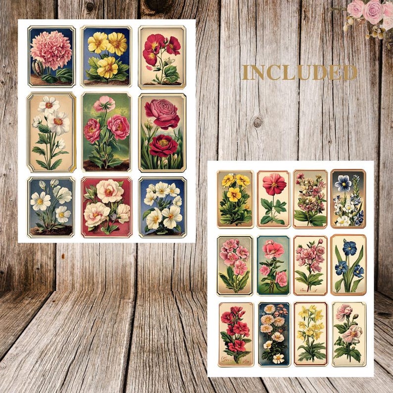 May include: A set of 18 vintage floral illustrations, each featuring a different flower in a frame. The flowers are in various colors, including red, pink, yellow, and white. The illustrations are perfect for scrapbooking, card making, or other craft projects.