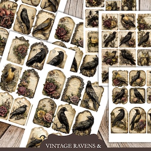 Puede incluir: Un conjunto de etiquetas imprimibles de estilo vintage con cuervos, búhos y elementos florales. Las etiquetas tienen un aspecto envejecido y desgastado, con diseños de aves, rosas y marcos ornamentados. Se muestra el texto "VINTAGE RAVENS & OWLS EPHEMERA PACK". Tamaño: 21,6 x 27,9 cm.