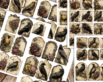 May include: A selection of vintage-style printable tags showcasing ravens, owls, and floral designs. The tags have a distressed, aged aesthetic, with images of birds, roses, and decorative frames. The text "VINTAGE RAVENS & OWLS EPHEMERA PACK" is displayed. The paper size is approximately 21.6 x 27.9 cm.