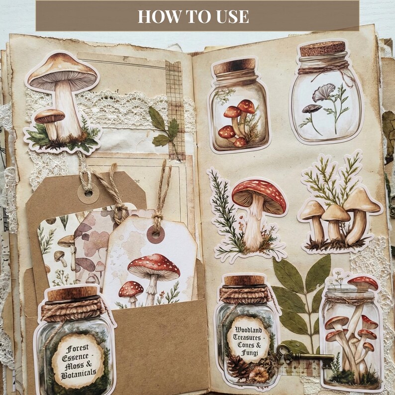 Vintage paddestoelen kieskeurig, vintage botanische paddestoelen ephemera, kieskeurige stekjes afdrukbaar voor bosjunktijdschriften afbeelding 4