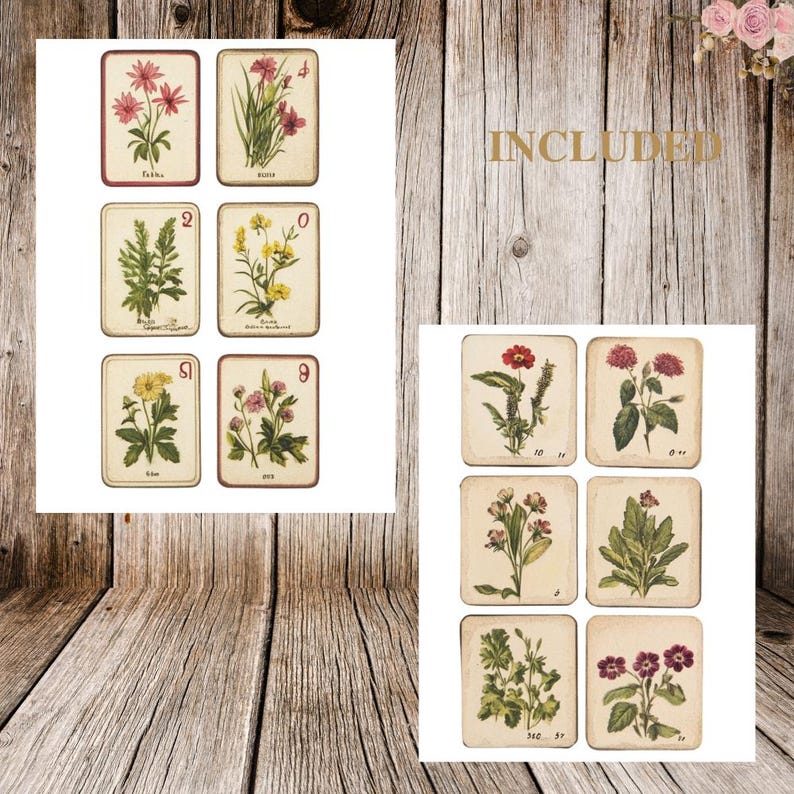 May include: A set of 10 vintage botanical illustrations featuring various flowers and plants. The illustrations are printed on a cream-colored background with a brown border. The illustrations are numbered 1 through 10.