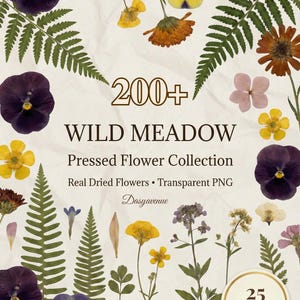 May include: A collection of pressed wildflowers, including pansies, buttercups, and ferns, arranged on a cream-colored background. The text reads "200+ WILD MEADOW Pressed Flower Collection" with additional text indicating real dried flowers and transparent PNGs.