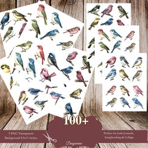 May include: Set of 9 digital paper sheets with over 100 images of colorful birds on a white background. The birds are drawn in a vintage style and are perfect for scrapbooking, junk journaling, and collage.