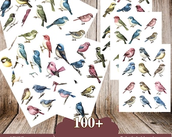 Vintage Birds Clipart PNG, Watercolor Bird Stickers, Junk Journal Ephemera, Scrapbooking Printable, Collage Art, DIY Craft Supplies