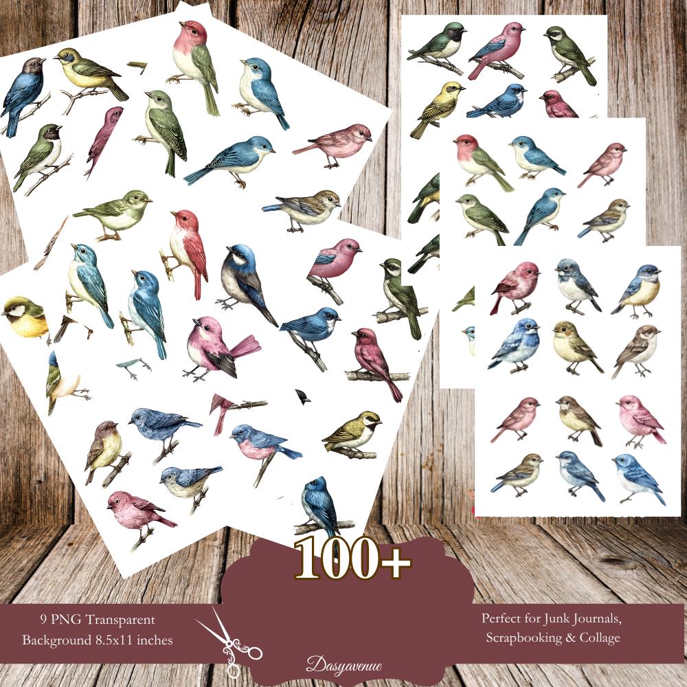 Pássaros Vintage Clipart PNG, Adesivos de Pássaros em Aquarela, Junk Journal Ephemera, Scrapbooking Imprimível, Arte de Colagem, Suprimentos de Artesanato DIY