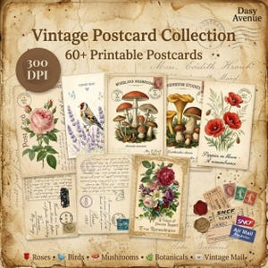 Puede incluir: Una colección digital de más de 60 postales vintage imprimibles con ilustraciones botánicas de rosas, amapolas y setas, junto con imágenes de pájaros, escritura a mano, sellos postales y marcas de correo sobre un fondo de papel envejecido.