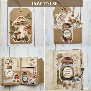 Vintage paddestoelen kieskeurig, vintage botanische paddestoelen ephemera, kieskeurige stekjes afdrukbaar voor bosjunktijdschriften afbeelding 2