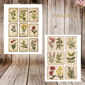 May include: A set of 12 vintage botanical illustrations featuring various flowers and plants. The illustrations are in a cream color with brown outlines and are arranged in a grid pattern. The word "INCLUDED" is written in gold lettering on a wooden background.