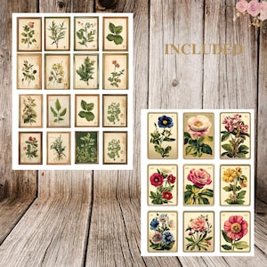 May include: A set of 18 vintage botanical illustrations featuring various flowers and plants. The illustrations are in a classic style with detailed drawings of the flowers and leaves. The illustrations are perfect for adding a touch of vintage charm to any project.