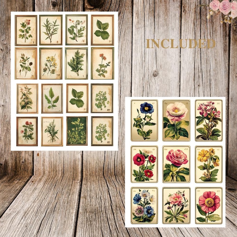 May include: A set of 18 vintage botanical illustrations featuring various flowers and plants. The illustrations are in a classic style with detailed drawings of the flowers and leaves. The illustrations are perfect for adding a touch of vintage charm to any project.