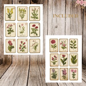 May include: A set of 12 vintage botanical illustrations featuring various flowers. The illustrations are in a cream color with brown outlines and feature a variety of flowers in shades of pink, red, and white.