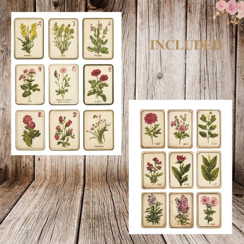 May include: A set of 12 vintage botanical illustrations featuring various flowers. The illustrations are in a cream color with brown outlines and feature a variety of flowers in shades of pink, red, and white.