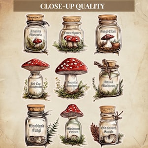 Vintage paddestoelen kieskeurig, vintage botanische paddestoelen ephemera, kieskeurige stekjes afdrukbaar voor bosjunktijdschriften afbeelding 5