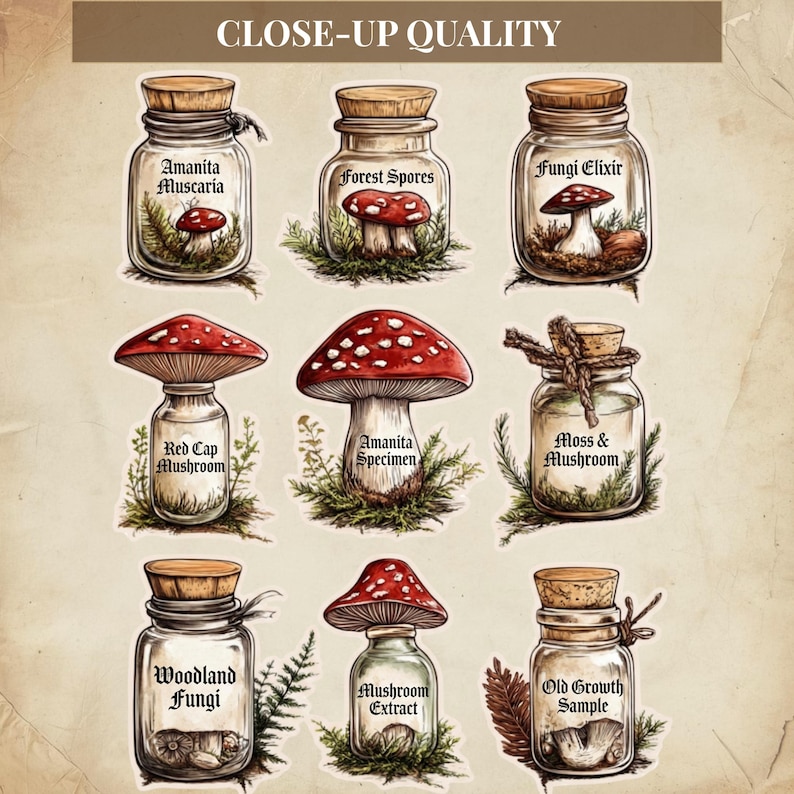Vintage paddestoelen kieskeurig, vintage botanische paddestoelen ephemera, kieskeurige stekjes afdrukbaar voor bosjunktijdschriften afbeelding 5