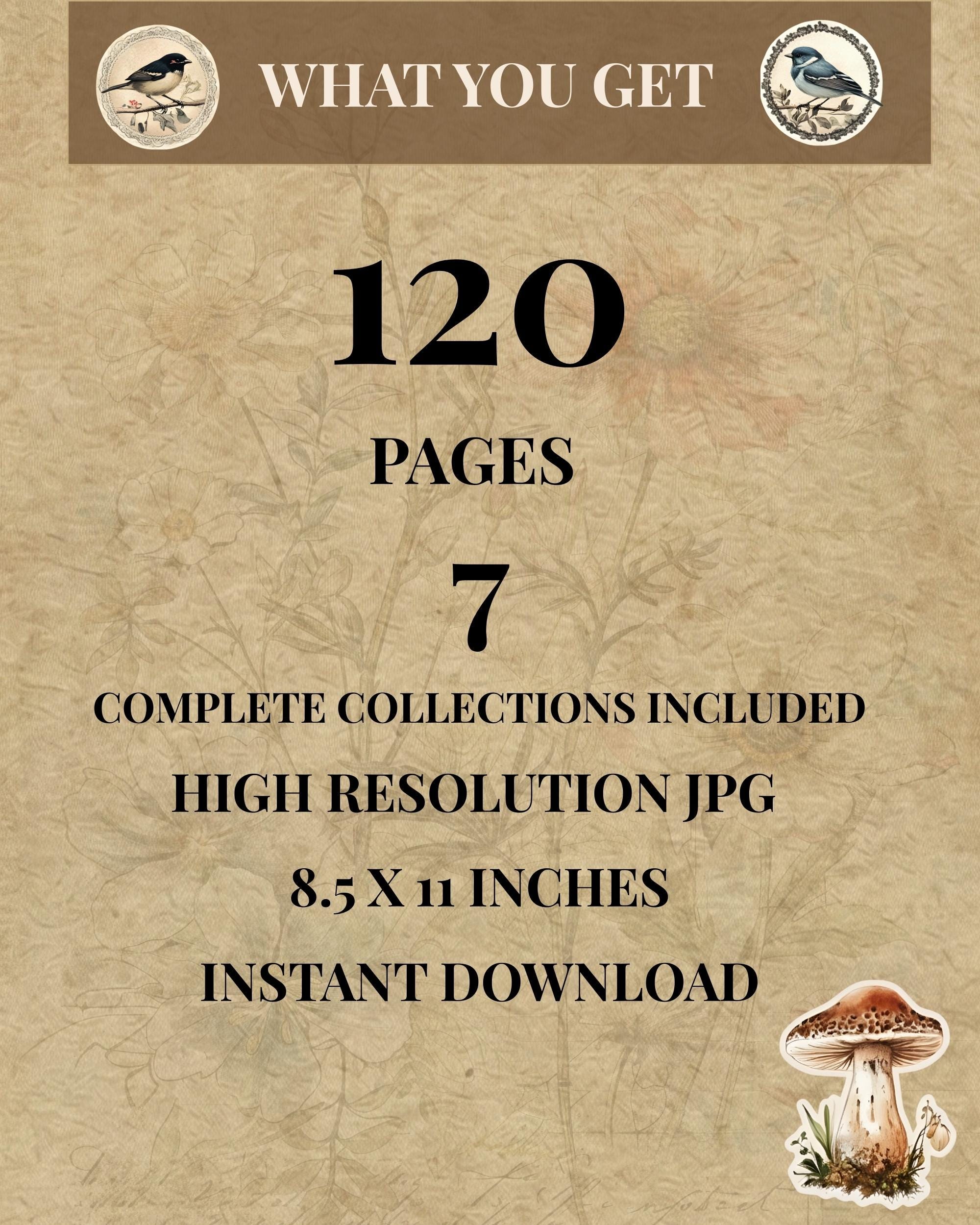 Botanical Garden Bundle 120 Pages Vintage Botanical Junk Journal Kit ...