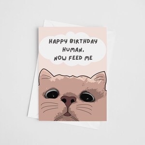 Carte d'anniversaire drôle de chat - Joyeux anniversaire humain, maintenant nourrissez-moi | Carte de dame folle de chat | Carte d'anniversaire pour amoureux des chats | Cadeau d'anniversaire pour propriétaire de chat