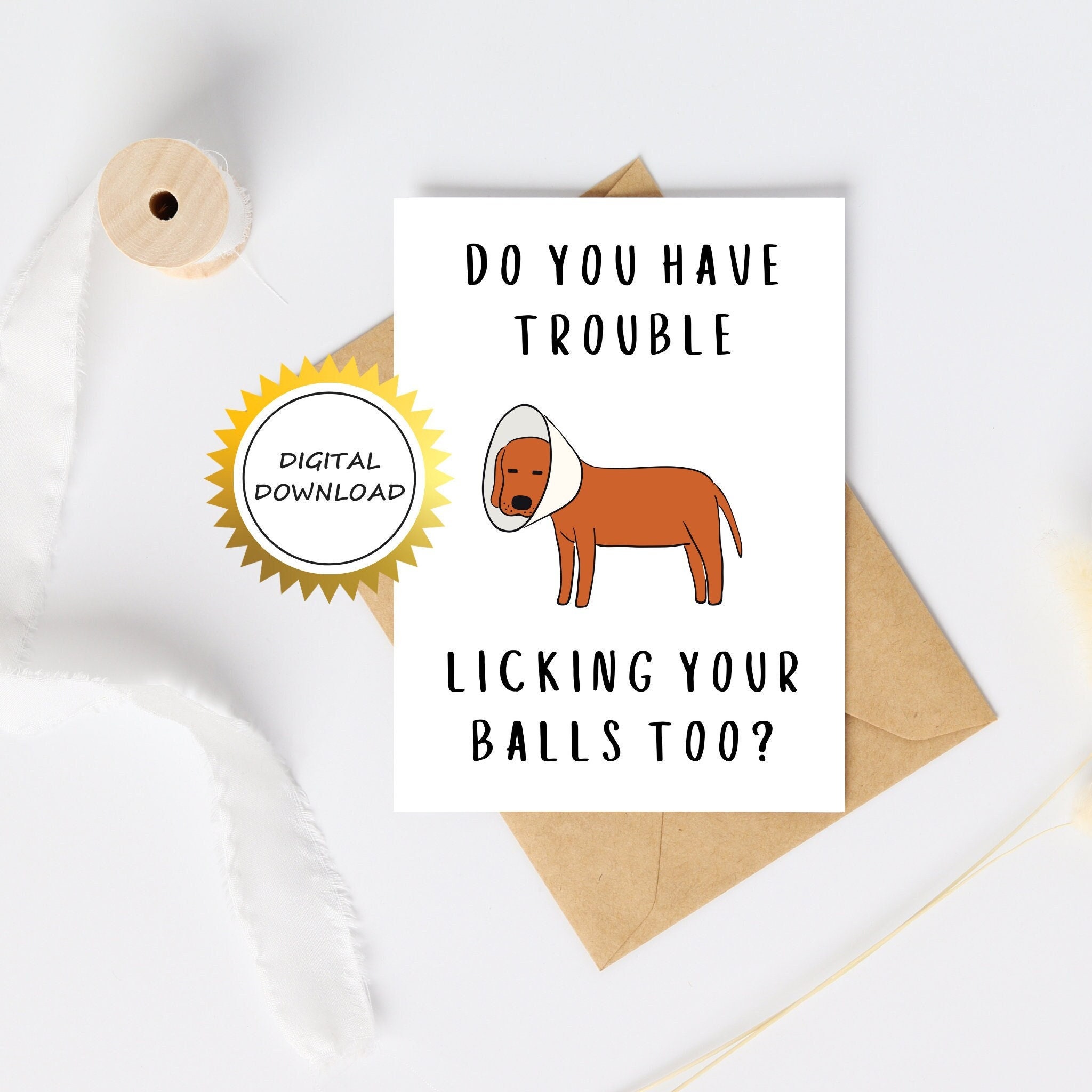 Get well gift for dog sales