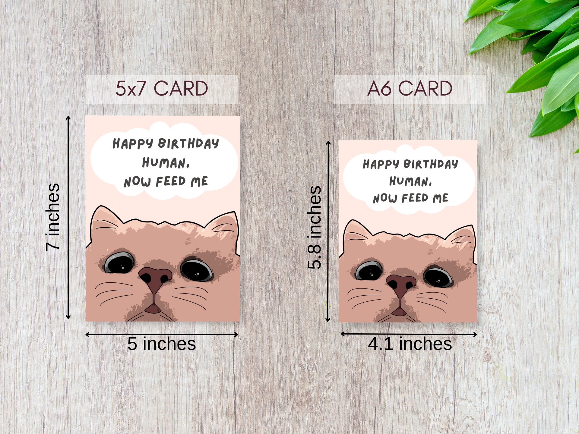Funny Cat Birthday Card - Happy Birthday Human, Now Feed Me | Crazy Cat ...