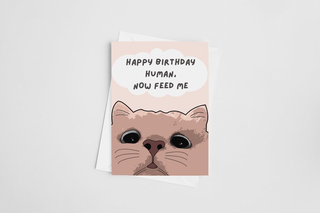 Funny Cat Birthday Card - Happy Birthday Human, Now Feed Me | Crazy Cat ...