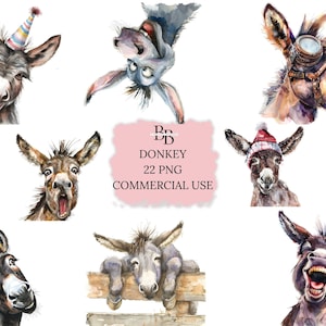 Donkey Faces PNG Clipart Bundle, 22 High Quality PNG 300 DPI images, Commercial Use Clipart, Junk Journal Ephemera, Paper Craft, Digital