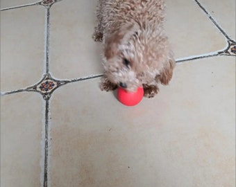 Banda para la dentición para perros, juguete sólido, pelota hinchable, juguete para masticar duradero para perros pequeños y medianos, suministros perfectos para mascotas para osos de peluche y más