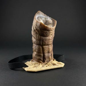 May include: A cylindrical, textured brown object with a deep, pleated opening at the top, resembling a biological organism. The structure is mounted on a light-colored, root-like base attached to a black elastic strap for secure positioning.