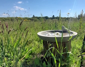 Bowl bird bath 30/35/40 cm cast stone frost-proof flower bowl insect bath