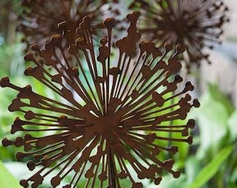 Allium flower plant metal rust Ø 15/20 cm H. 80/100 cm frost-proof solid design garden stake