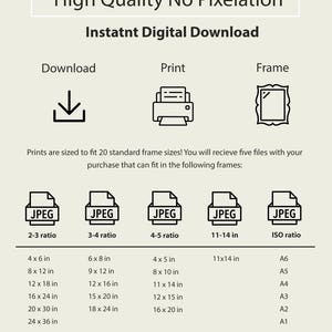 Pu&ograve; includere: Un grafico informativo per il download digitale istantaneo con icone per download, stampa e cornice. Elenca cinque file JPEG con rapporti 2-3, 3-4, 4-5, 11-14 pollici e ISO, dettagliando 20 dimensioni di cornice standard per ogni categoria.