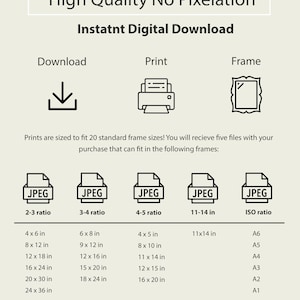 May include: A chart showing 20 standard frame sizes for digital prints. The chart is divided into five columns, each representing a different aspect ratio or standard paper size. The first column is labeled "2-3 ratio" and lists the following dimensions in inches: 4x6, 8x12, 12x18, 16x24, 20x30, and 24x36. The second column is labeled "3-4 ratio" and lists the following dimensions in inches: 6x8, 9x12, 12x16, 15x20, and 18x24. The third column is labeled "4-5 ratio" and lists the following dimensions in inches: 4x5, 8x10, 11x14, 12x15, and 16x20. The fourth column is labeled "11-14 in" and lists the dimension 11x14. The fifth column is labeled "ISO ratio" and lists the following standard paper sizes: A6, A5, A4, A3, A2, and A1.