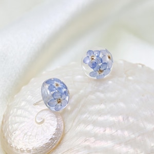 May include: A pair of stud earrings featuring clear, rounded resin domes that encapsulate small, light blue forget-me-not flowers with yellow centers. The earrings have silver-toned metal posts and are displayed on a white, iridescent seashell.