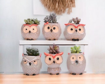 Hibou pot de fleur en céramique décoration de jardin succulent hibou pot de fleurs animal mignon cactus plantes jardinières ornement de maison jardinière d'intérieur