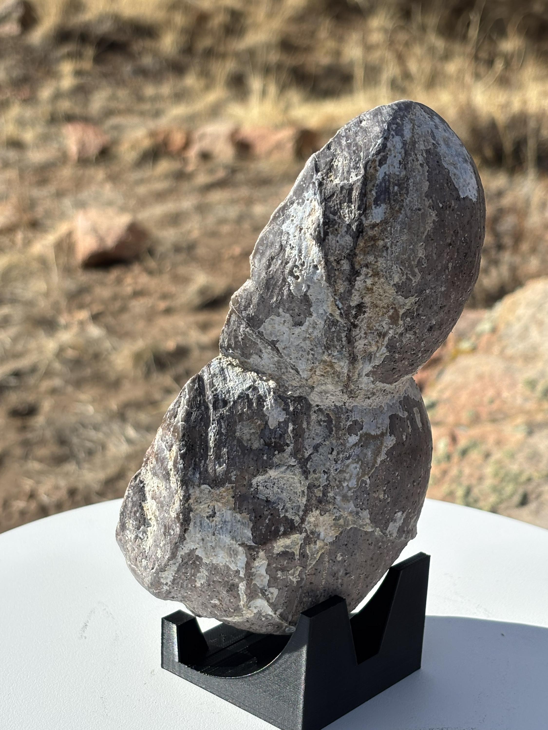 Aggate Geode Dugway Agate Geode - Etsy
