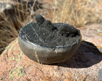 Black Amethyst "Cupcake" Geode with Stalactites