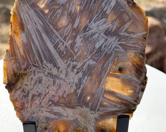 Sagenite Agate Slice on Stand