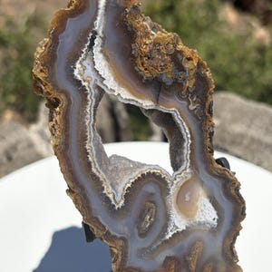 May include: A polished agate slice featuring concentric bands of translucent gray, white, and earthy brown tones. The center contains a hollow geode cavity lined with small, sparkling white quartz crystals, framed by a rough, textured outer edge.