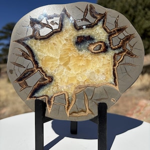May include: A polished, round stone with a striking pattern. The outer edge is a mottled gray, framing a central area of golden yellow and brown. The stone is displayed on a small, black metal stand, showcasing its natural beauty.