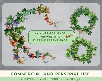 Guirnaldas y coronas de hiedra. Clipart. 12 PNG con fondo transparente. Uso comercial y personal. Gráfico de nube posterior NO incluido.