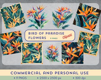 Paquete de imágenes prediseñadas de la flor Ave del Paraíso - 9 imágenes PNG tropicales para diseños de verano hawaianos - Uso comercial - Descarga digital