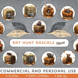 Puede incluir: Trece ilustraciones digitales de ratas grises lindas escondidas en fardos de heno y hojas de otoño. Las ilustraciones están en un círculo con el texto "RAT HUNT RASCALS Clipart" en el centro. El texto "COMMERCIAL AND PERSONAL USE" está en la parte inferior de la imagen con los detalles "13 JPGs, 2500 x 2500px, 300 dpi".