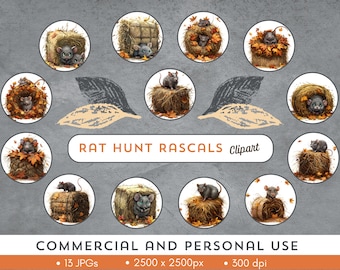 ¡Rascals de la caza de ratas! Lindo clipart de rata y fardo. Uso comercial o personal. 13 archivos JPG 2500x2500 px - 300 dpi. ¡Descarga instantánea!