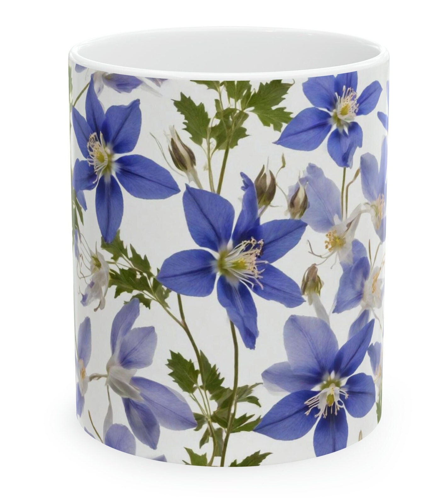 Colorado Blue Columbine