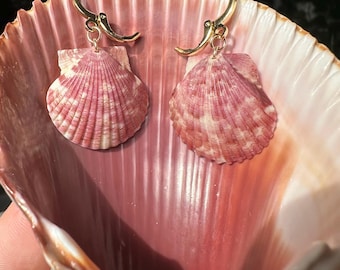 Shell Earrings 18k Gold Plated