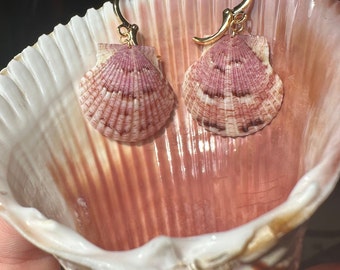 Shell Earrings 18k Gold Plated
