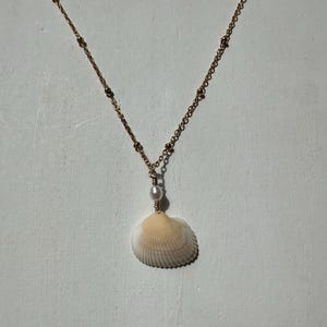 Shell and Pearl Necklace, 18k Gold Plated No Tarnish chain, 16 inch