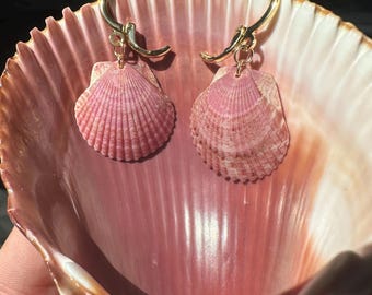 Shell Earrings 18k Gold Plated