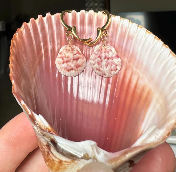 Dainty Shell Earrings