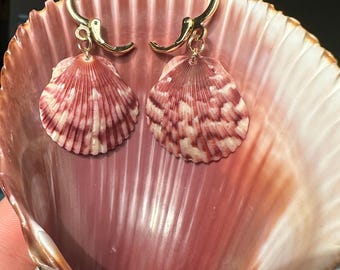 Shell Earrings 18k Gold Plated