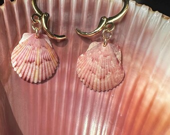 Dainty Shell Earrings 18k Gold Plated